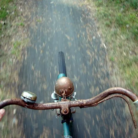 Traumhaff Küstenchalets - Einzigartige An Der Ostsee. Ganz Aus Lärchenholz Mit Kamin Und Sauna Chalet