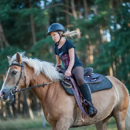 Traumhaff Küstenchalets - Einzigartige An Der Ostsee. Ganz Aus Lärchenholz Mit Kamin Und Sauna Vogelsang-Warsin