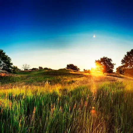 Chalet Traumhaff Küstenchalets - Einzigartige An Der Ostsee. Ganz Aus Lärchenholz Mit Kamin Und Sauna Vogelsang-Warsin