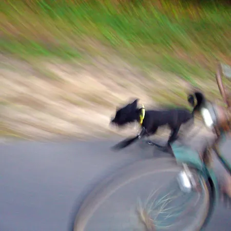 Chalet Traumhaff Küstenchalets - Einzigartige An Der Ostsee. Ganz Aus Lärchenholz Mit Kamin Und Sauna Vogelsang-Warsin