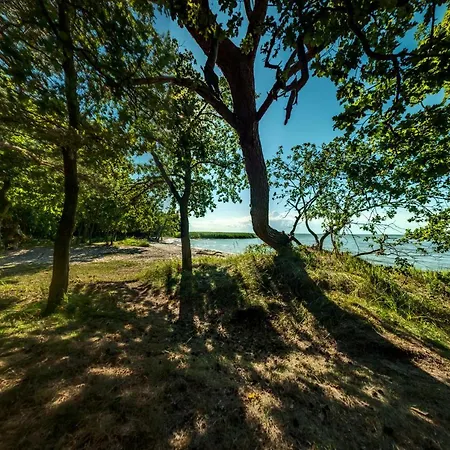 Traumhaff Kustenchalets: Lärchenwoodchalets Mit Kamin Und Sauna An Der Ostsee * Vogelsang-Warsin