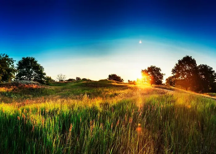 Chalet Traumhaff Küstenchalets - Einzigartige An Der Ostsee. Ganz Aus Lärchenholz Mit Kamin Und Sauna Vogelsang-Warsin