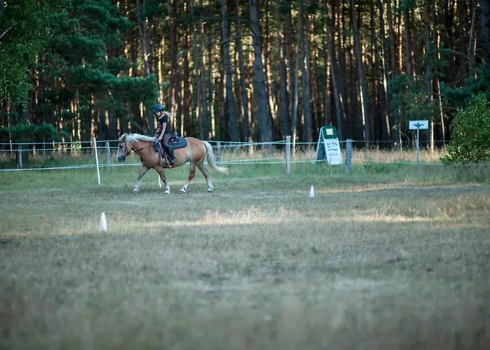 Traumhaff Küstenchalets - Einzigartige An Der Ostsee. Ganz Aus Lärchenholz Mit Kamin Und Sauna * Vogelsang-Warsin